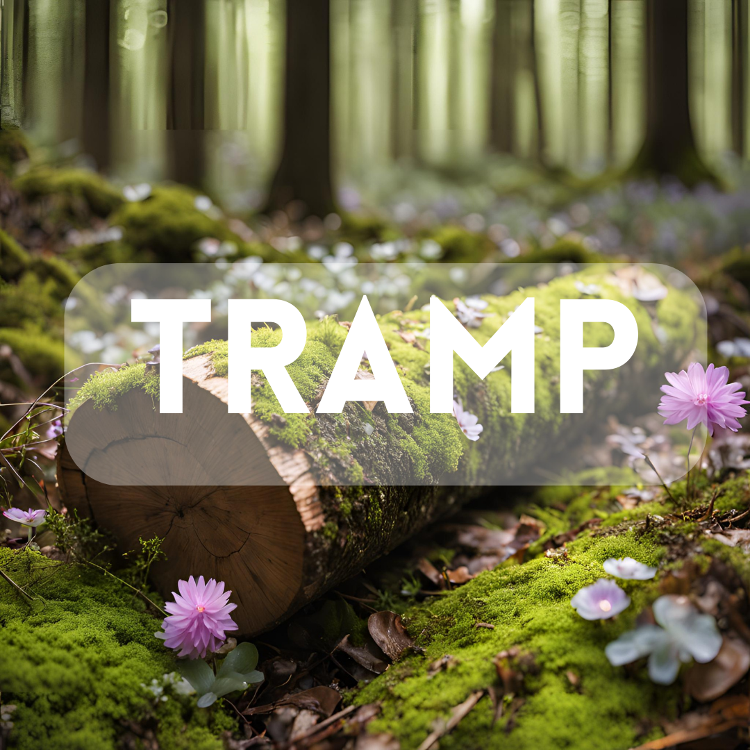 Compare to Tramp (Lush Dupe) - Premium Fragrance Oil