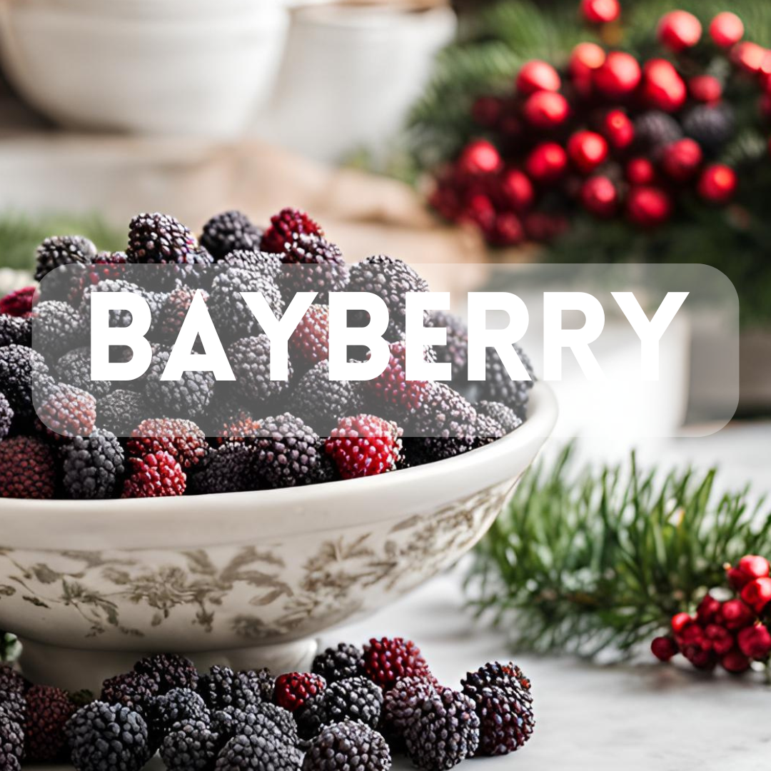 Bayberry - Premium Fragrance Oil