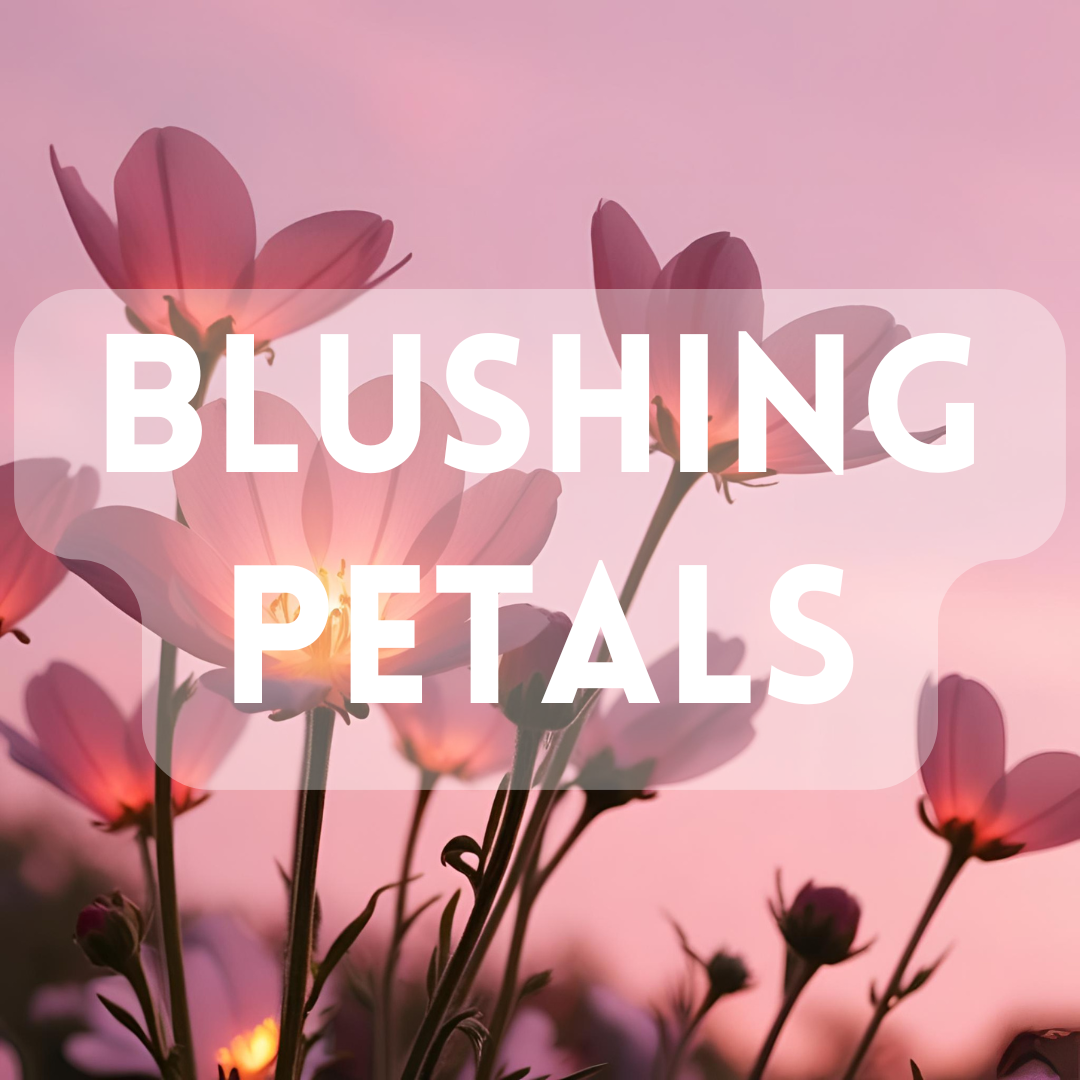 Blushing Petals - Premium Fragrance Oil