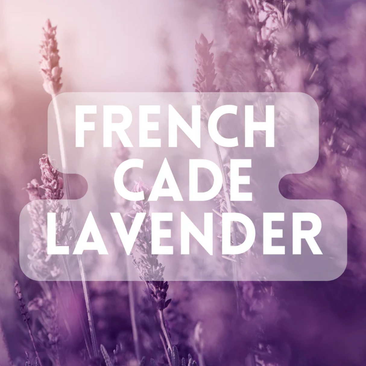 Lavender Love Fragrance Sample Pack