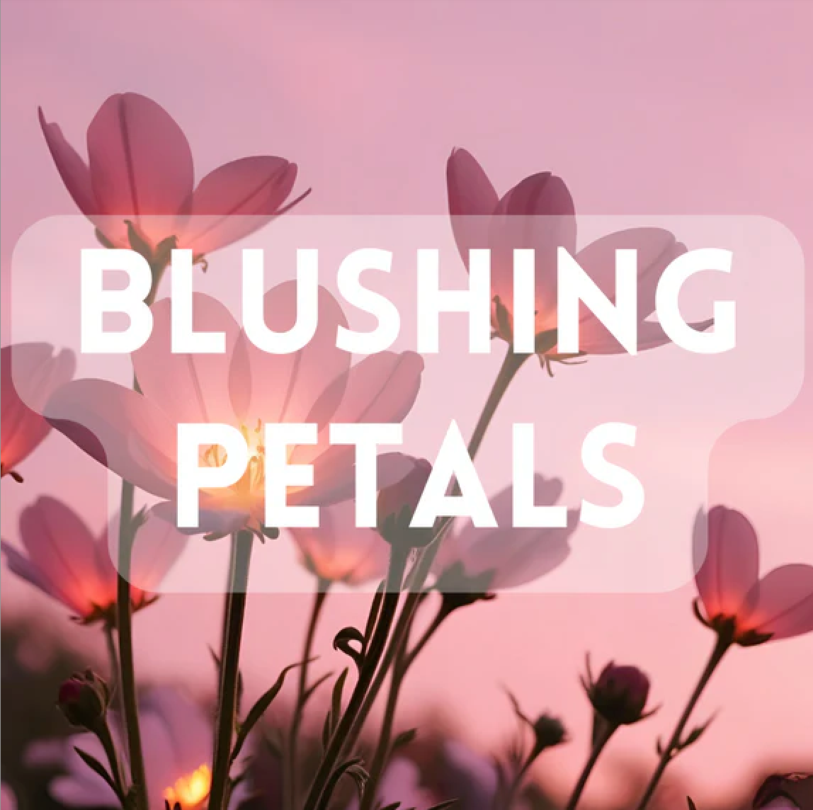 Spring Fragrance Sample Pack