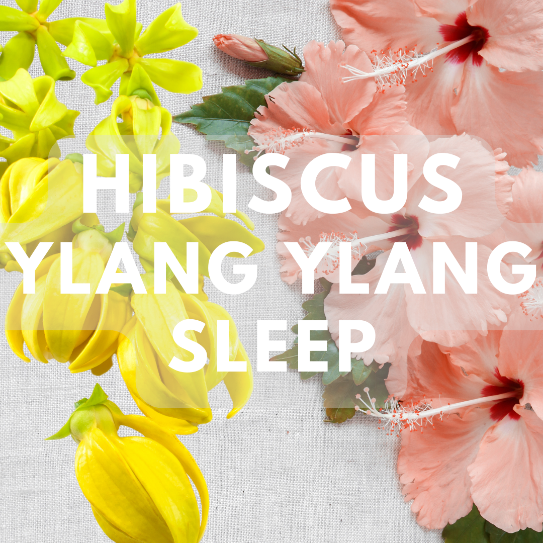 Hibiscus Ylang Ylang Sleep Premium Fragrance Oil Fizz Fairy