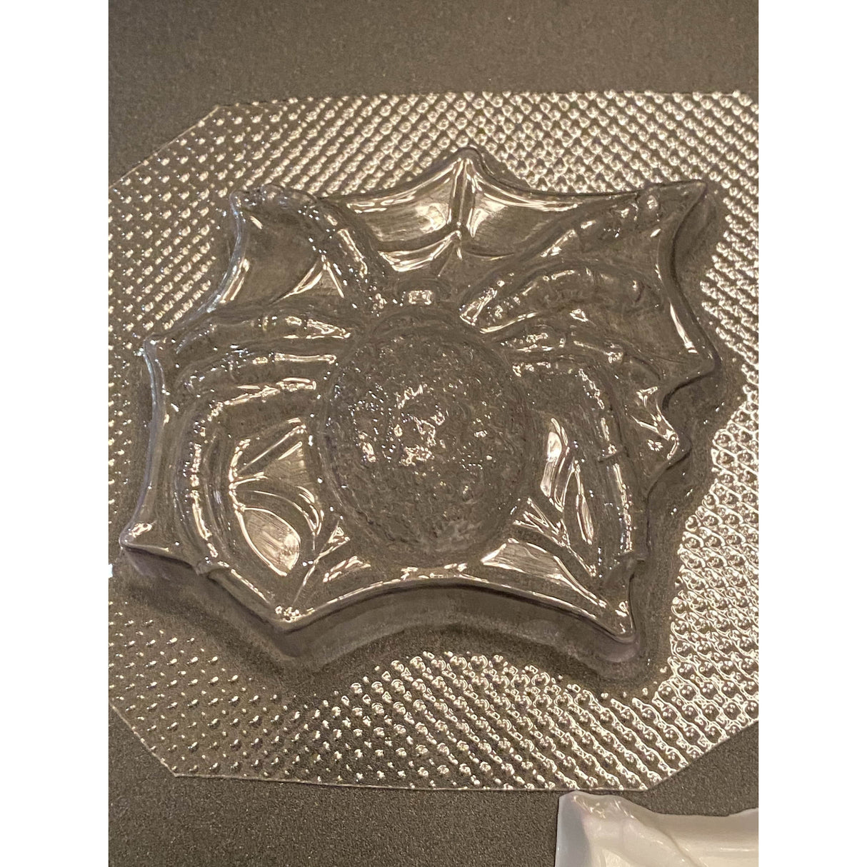 Spider Plastic Hand Mold