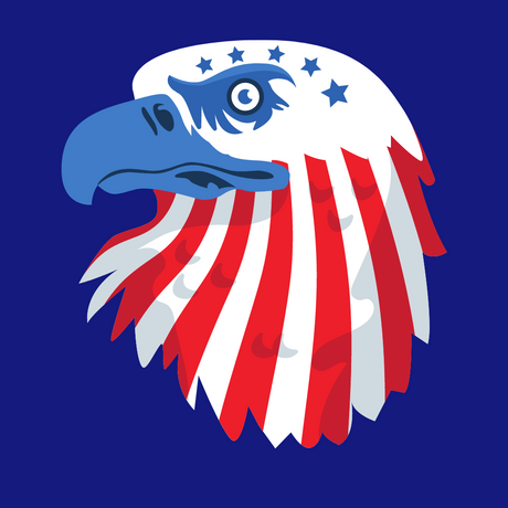 Batch Certified Dyes (USA)