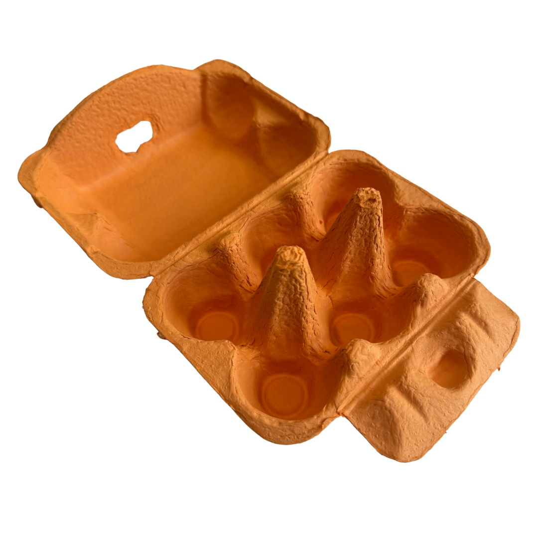 Bright Orange Egg Carton Pack