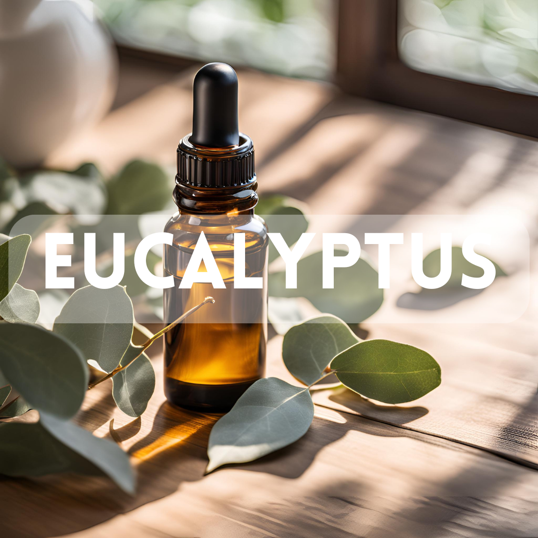 Eucalyptus - Essential Oil