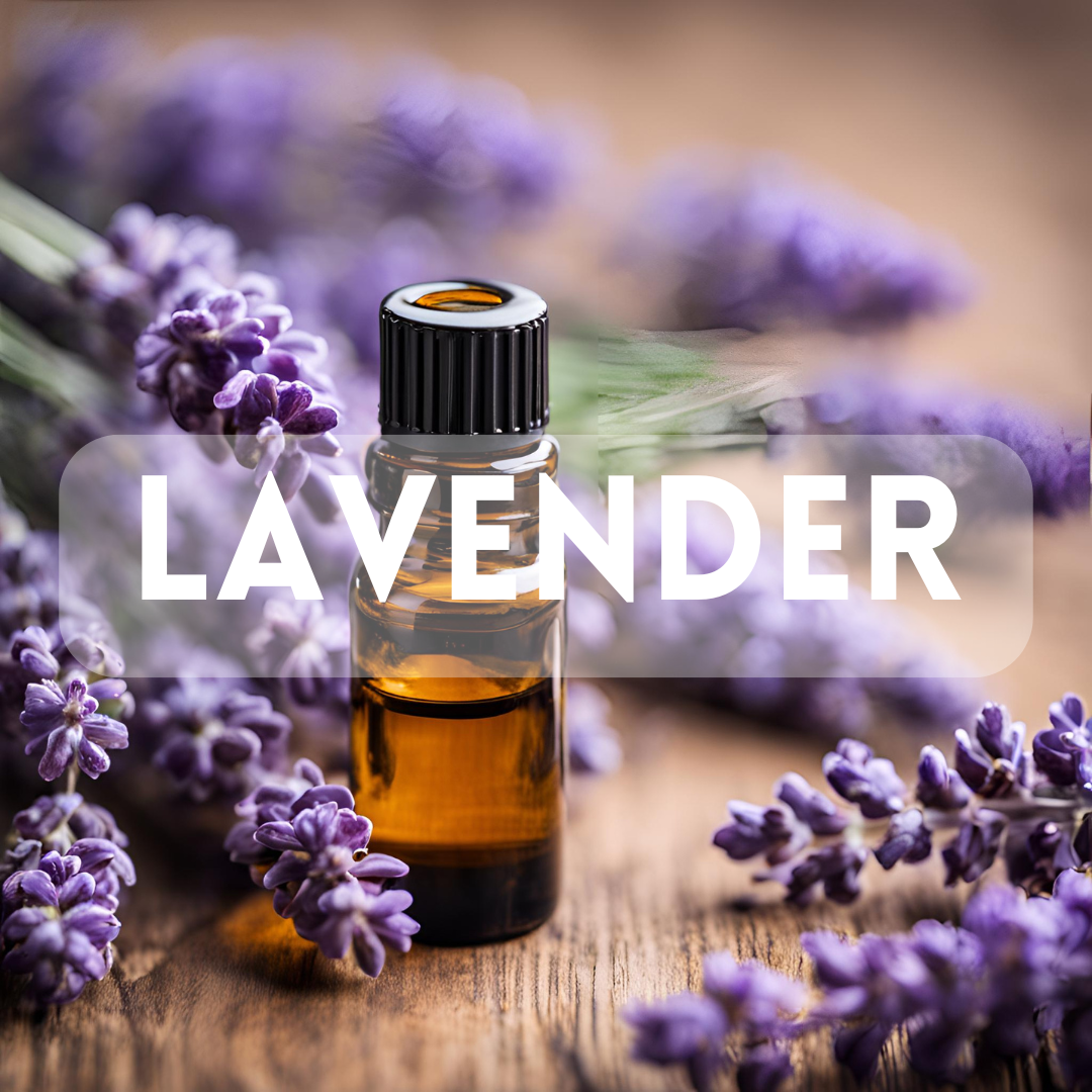 Lavender - Essential Oil