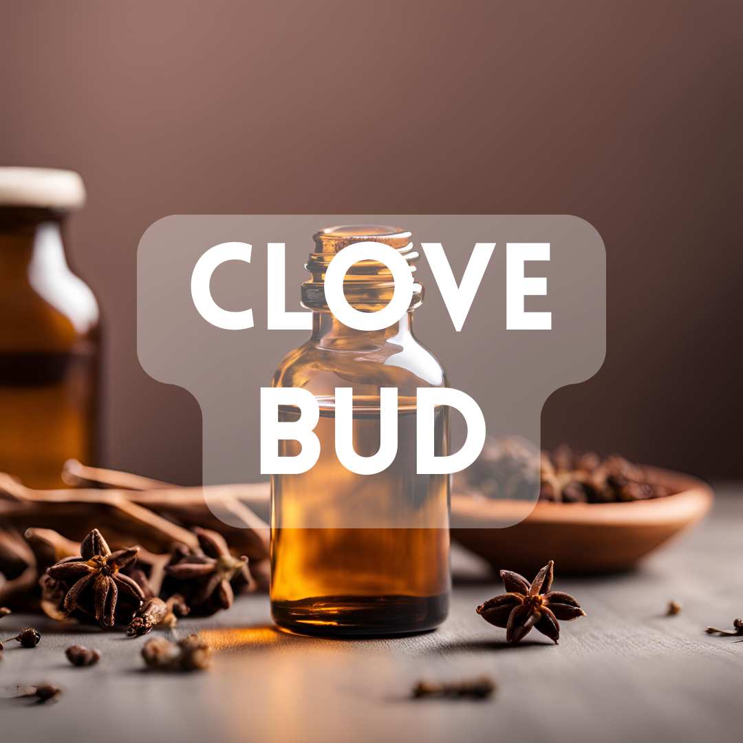 Clove Bud - Essential Oil