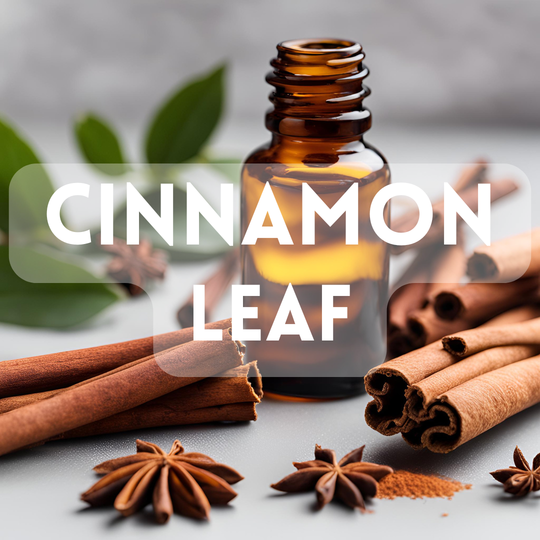 Cinnamon Leaf - Essential Oil