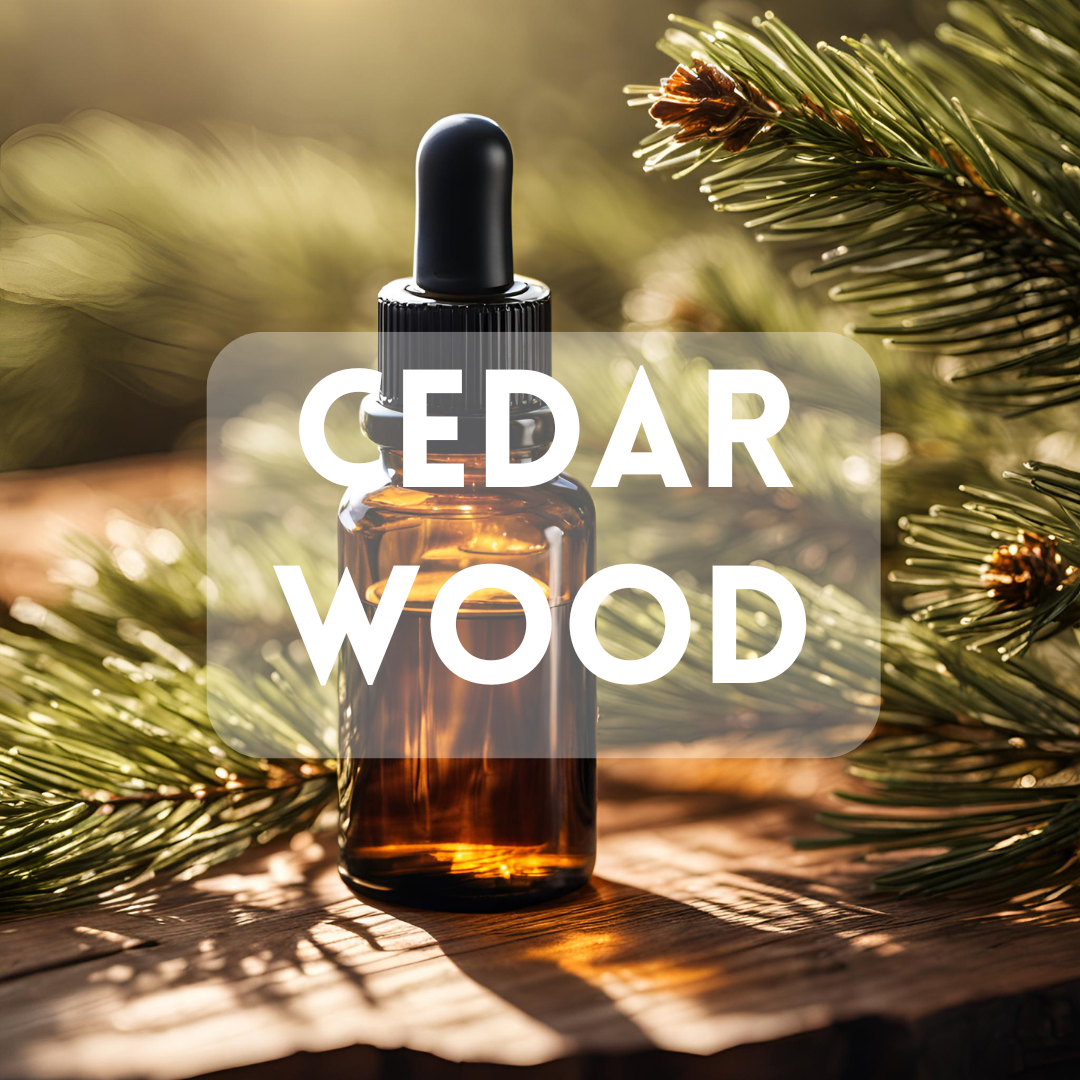 Cedarwood - Essential Oil