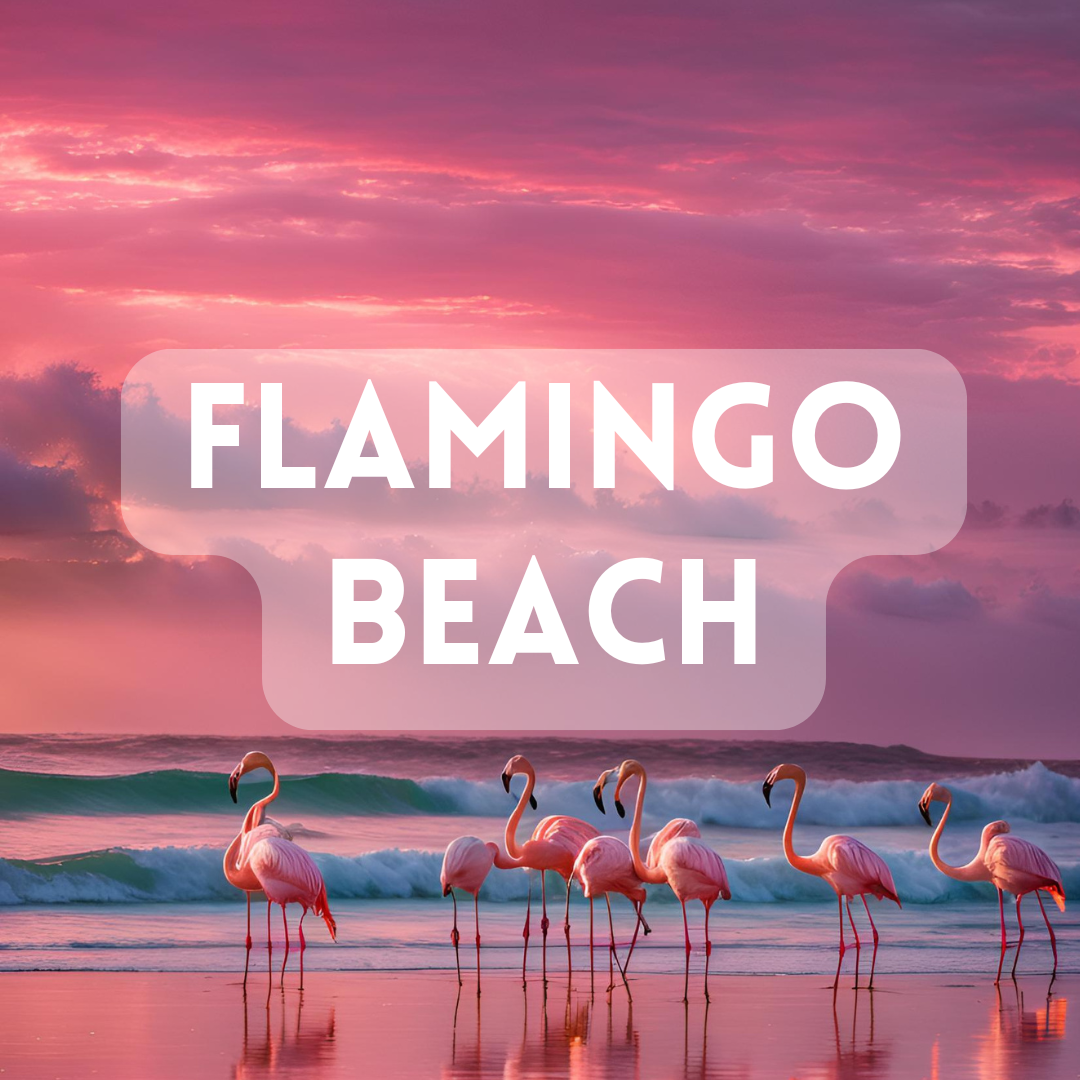 Flamingo Beach (BBW Dupe) - Premium Fragrance Oil