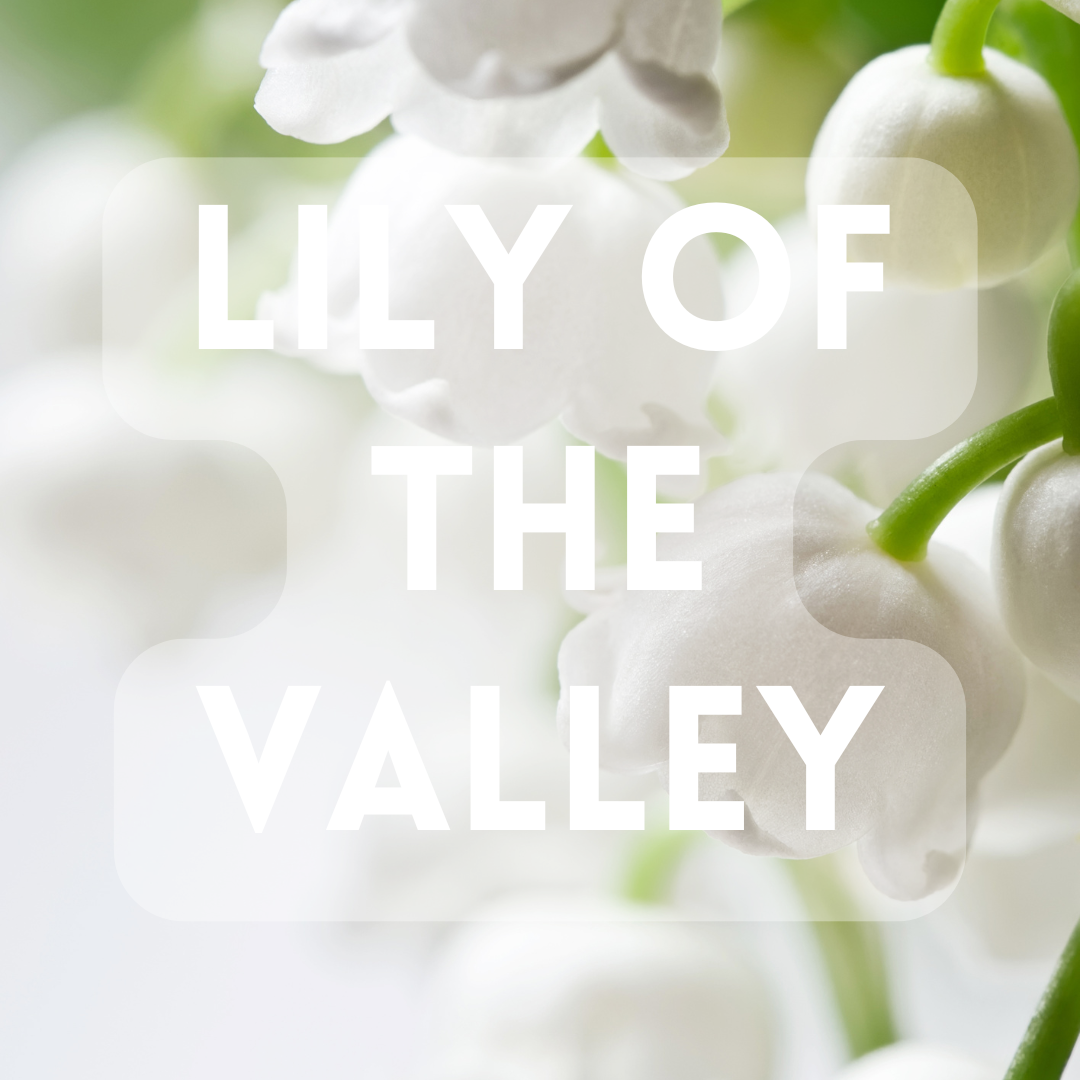 Lily of the Valley - Premium Fragrance Oil