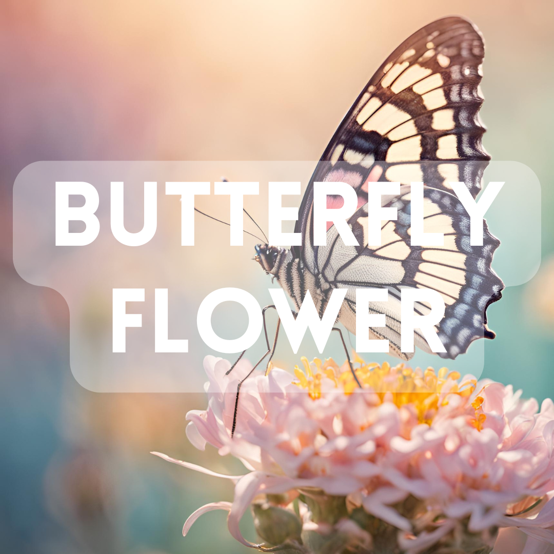 Butterfly Flower (BBW Dupe) - Premium Fragrance Oil