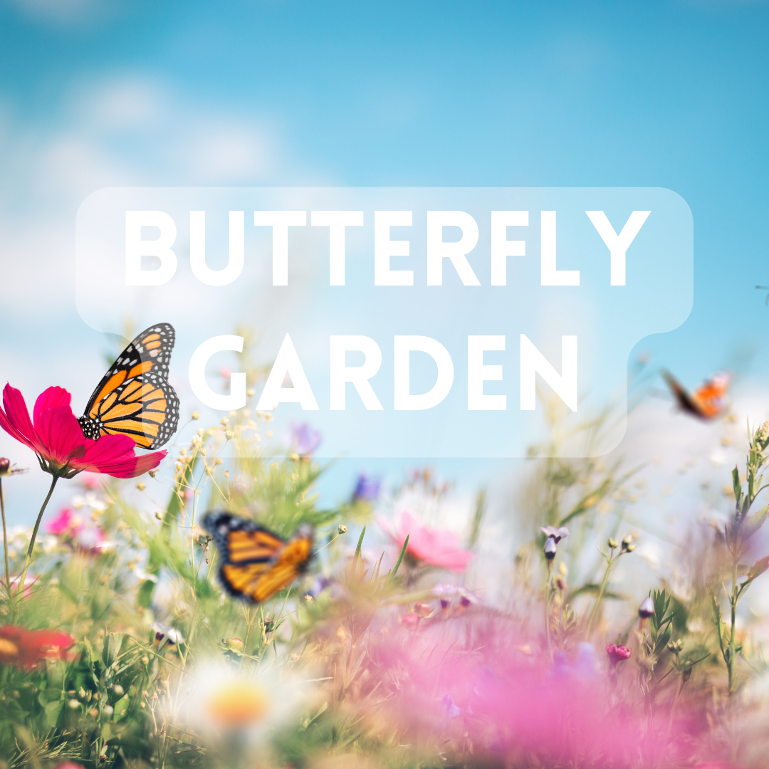 Butterfly Garden (BBW Dupe) - Premium - Fragrance Oil