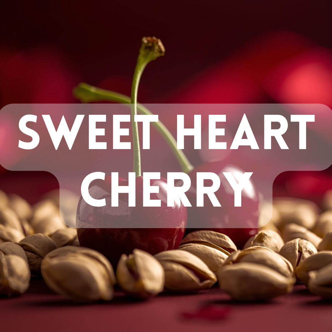 Sweet Heart Cherry - Premium Fragrance Oil