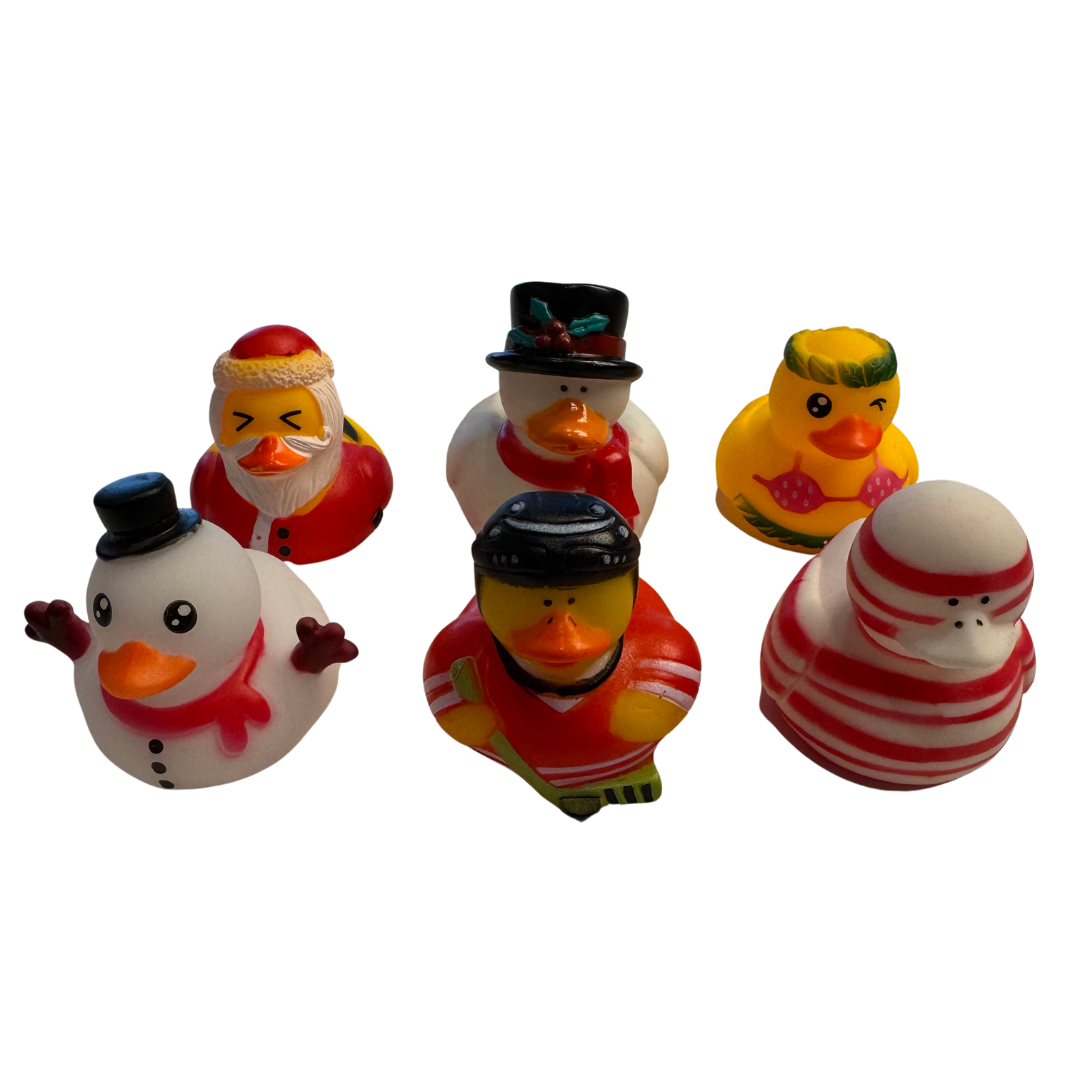 Toy Embeds - Set of 6 Assorted Rubber Ducks (Christmas)