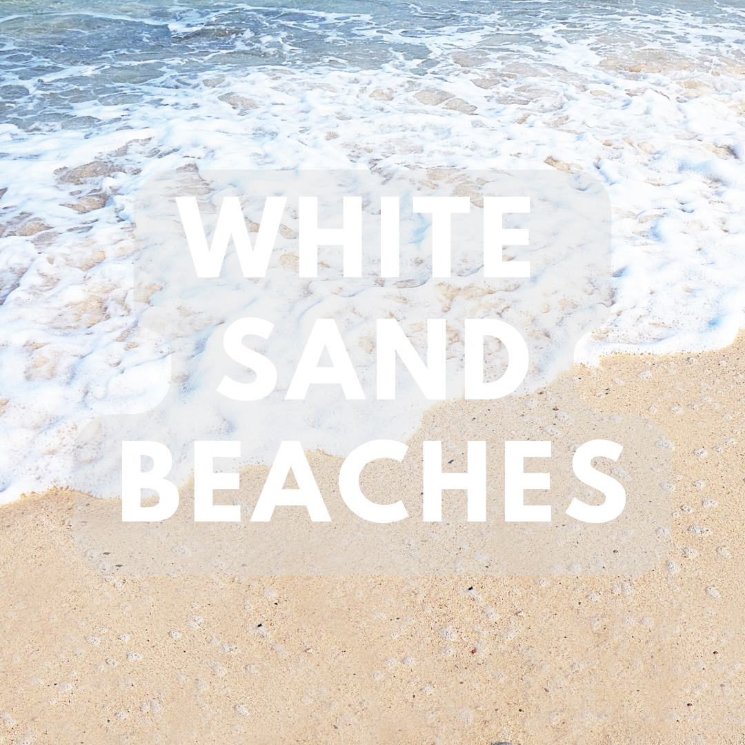 White Sand Beaches (BBW Dupe) - Premium Fragrance Oil