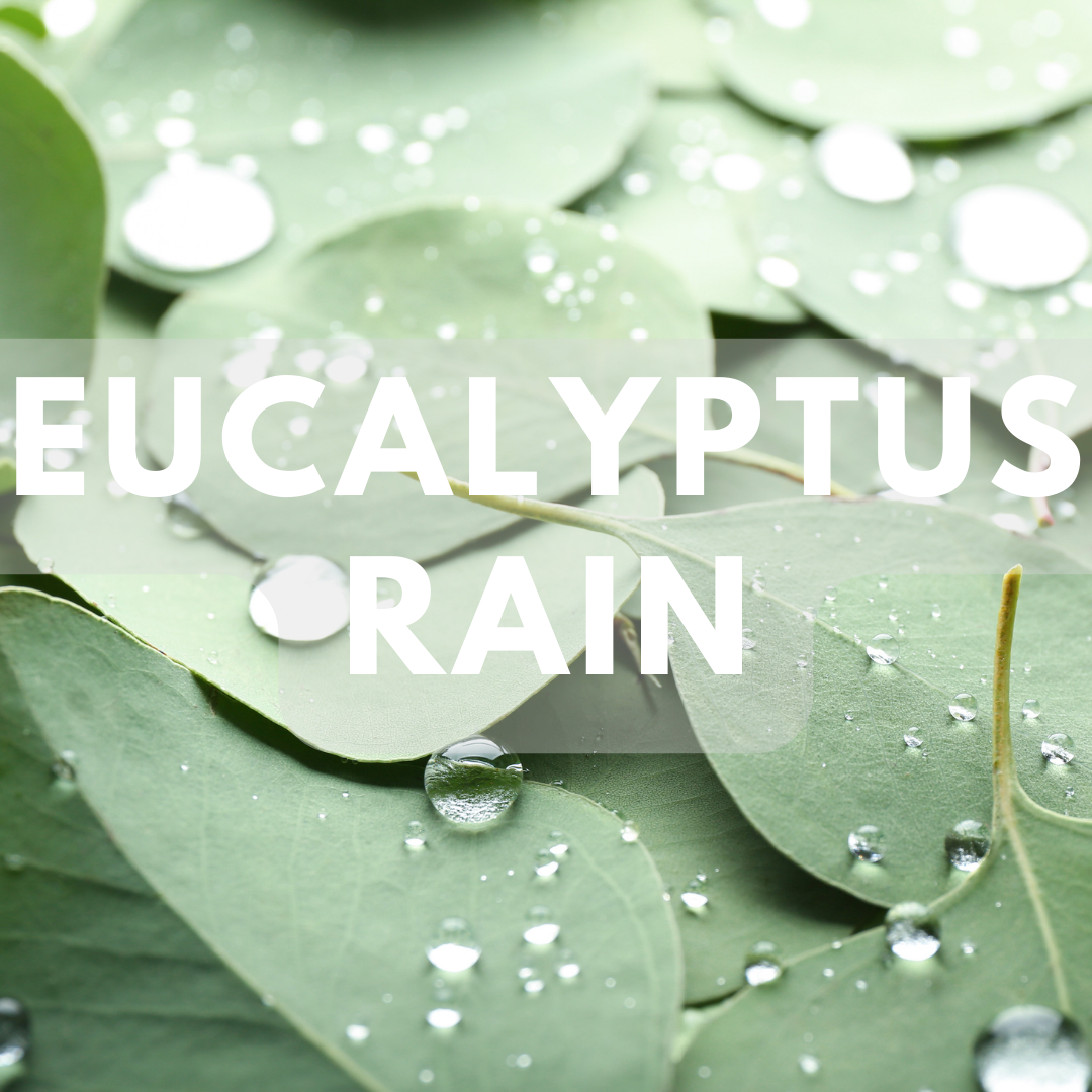 Eucalyptus Rain - Premium Fragrance Oil