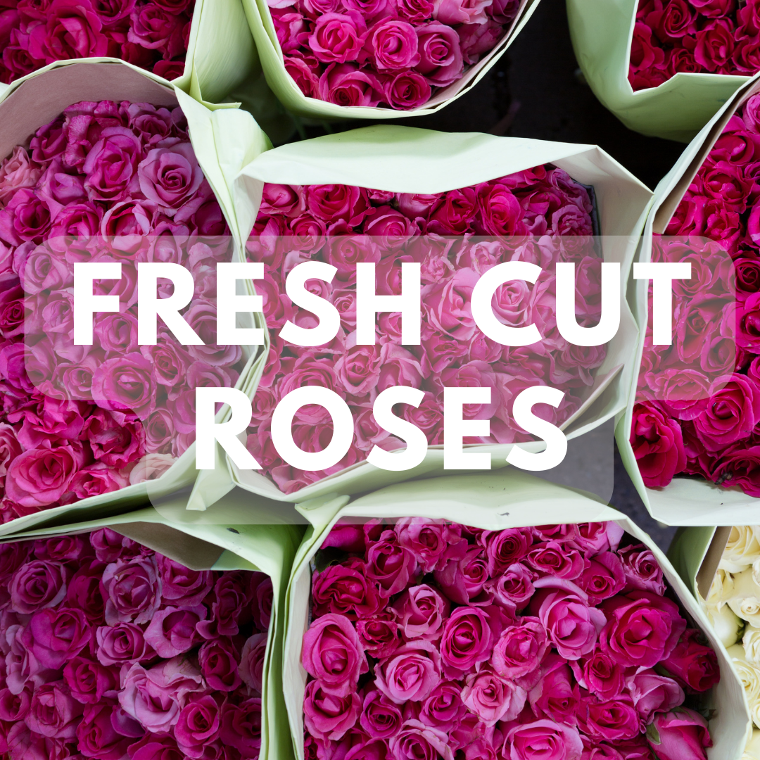 Fresh Cut Roses - Premium Fragrance Oil