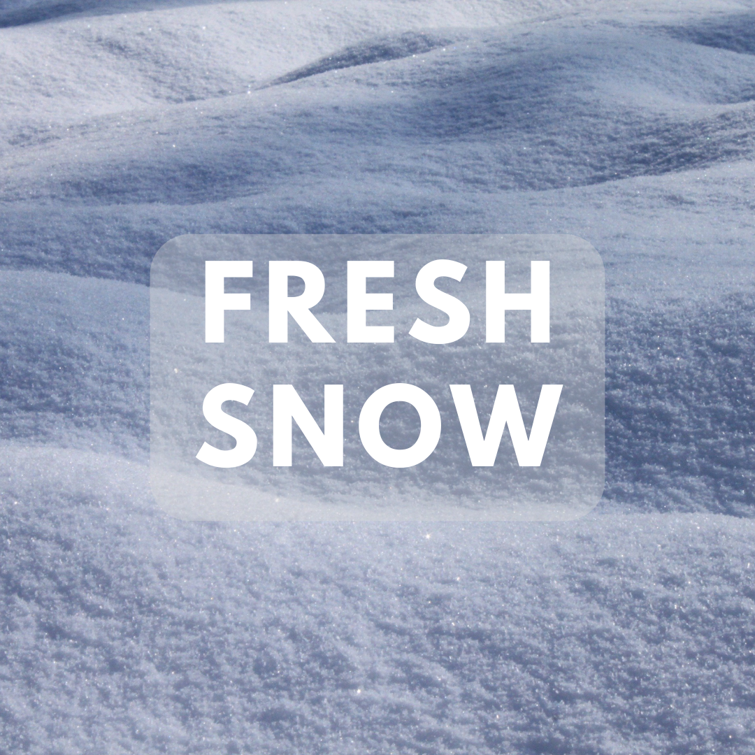 Fresh Snow - Premium Fragrance Oil