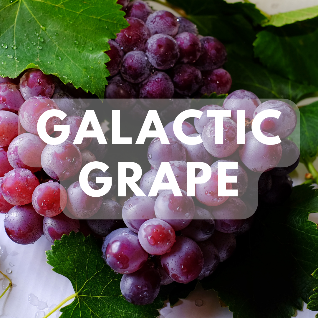 Galactic Grape Galactic Grape Premium Fragrance Oil – Fizz Fairy Krazycolours Inc.