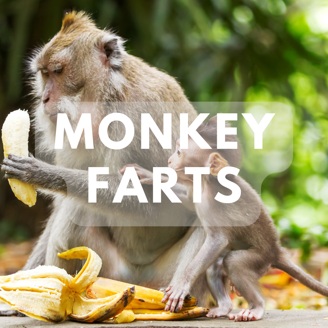 Monkey Farts - Premium Fragrance Oil