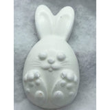 Bunny Plastic Hand Mold