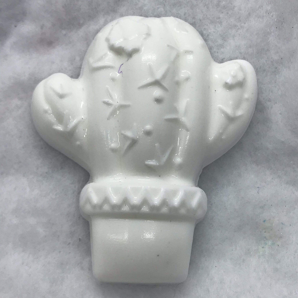 Cactus Plastic Hand Mold